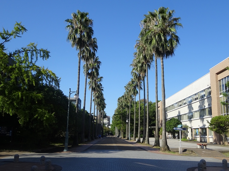 鹿児島大学