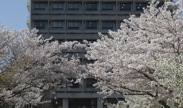 神戸市外国語大学