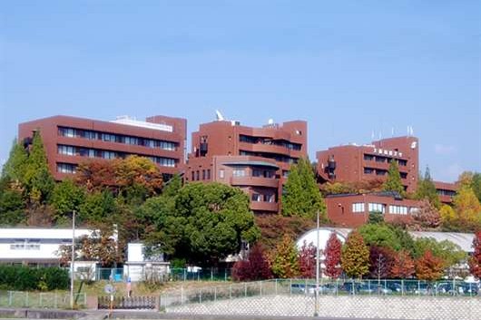 大阪国際大学