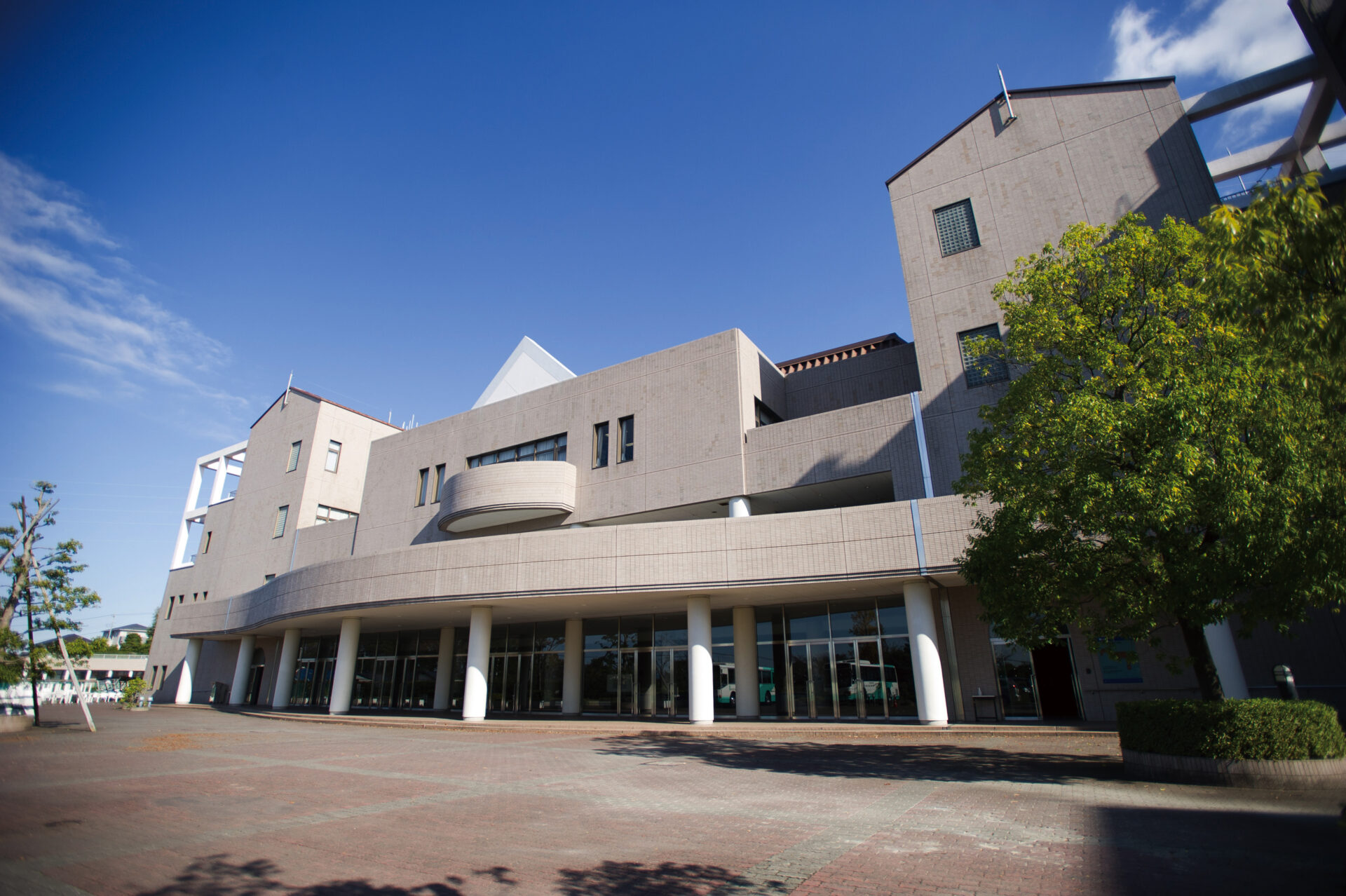 多摩大学