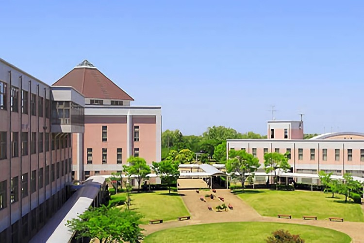 ◉新潟大学