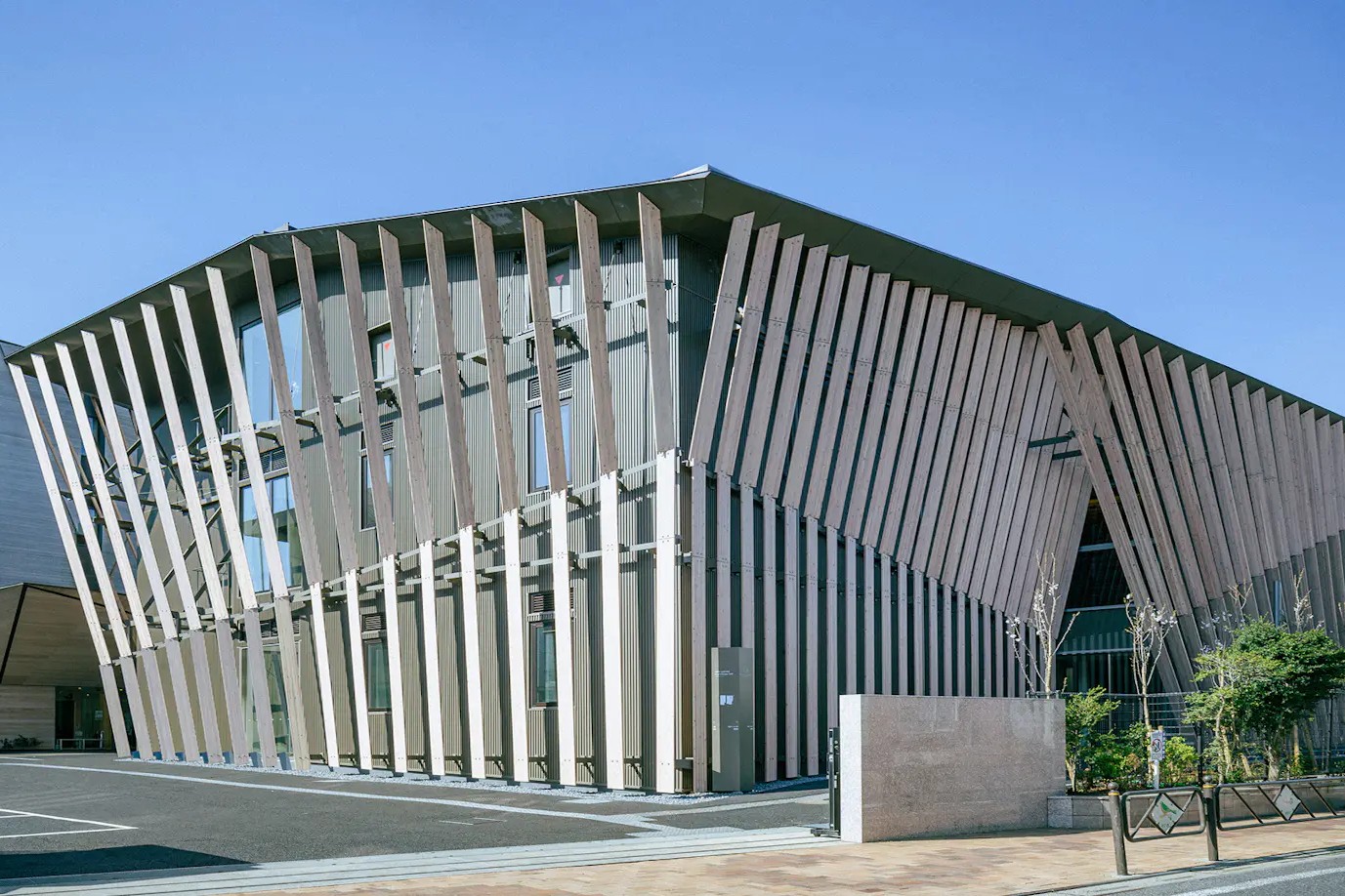 桐朋学園大学