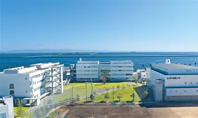 神戸国際大学