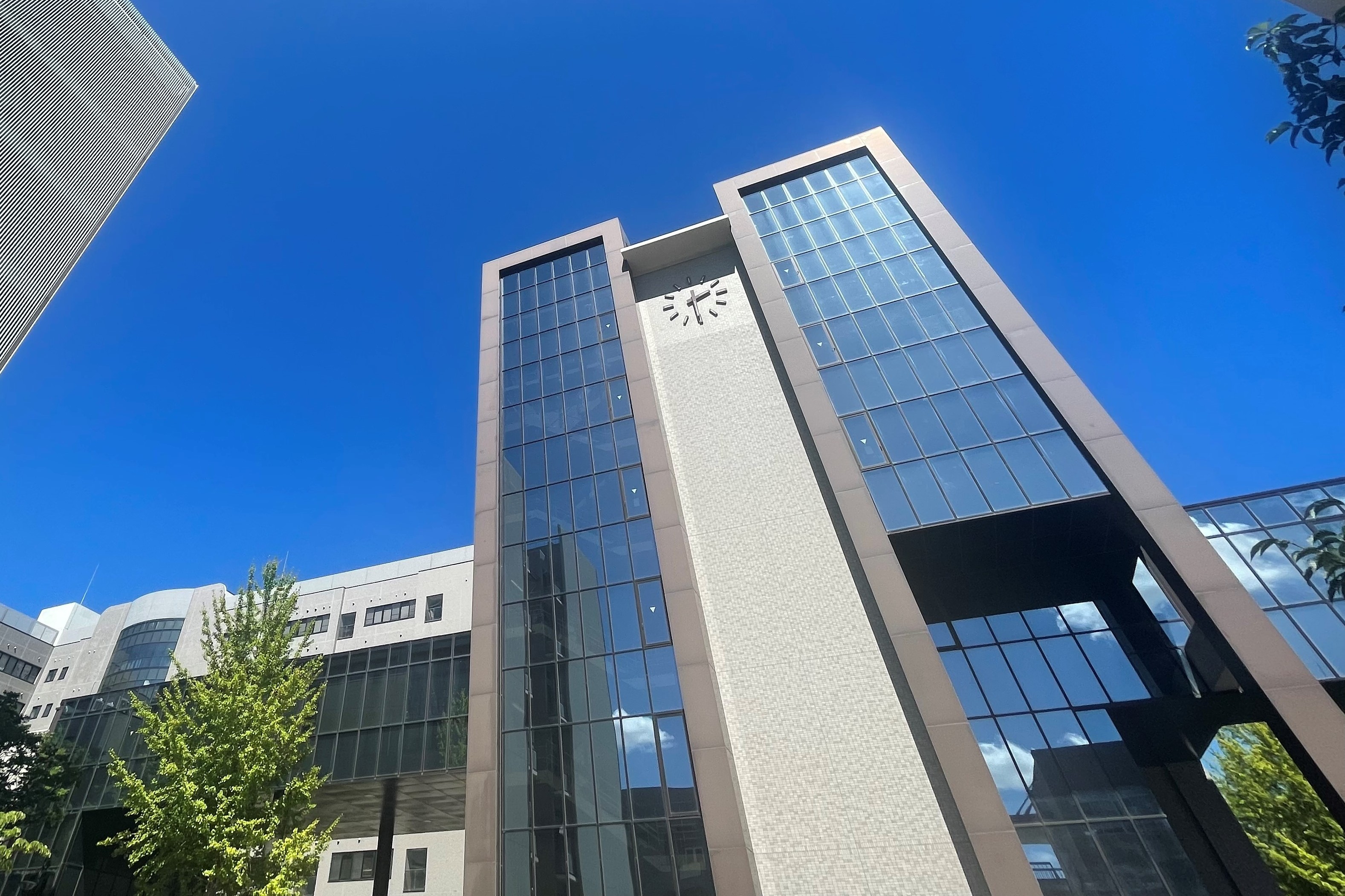 徳島大学